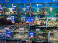 -海味当家·蒸锅海鲜(星海公园店)