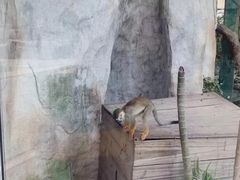 -灵玲国际马戏城