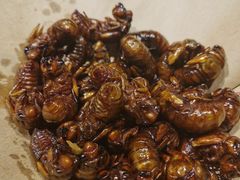 -鸽子窝(黄村店)