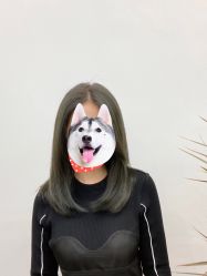-藤野造型