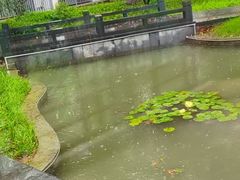 -无锡梁鸿湿地丽笙度假酒店·流觞西餐厅