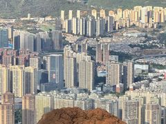 -长虫山生态公园风景林