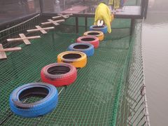 -梦幻奥陶纪景区