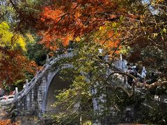 -深圳仙湖植物园