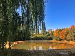 碧波湖-群力丁香公园