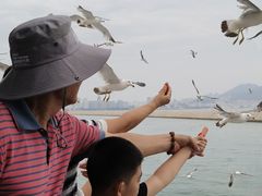 -刘公岛景区