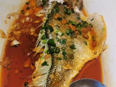 -维园悦谱·海派家常菜(乌鲁木齐南路店)