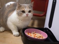 -PETKIT小佩宠物(昭化店)