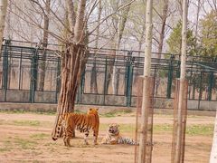-秦皇岛野生动物园