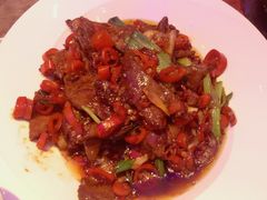 -老板恋上鱼(恒隆广场店)