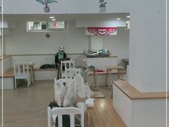 -李小姐の猫咖啡馆(五角场店)