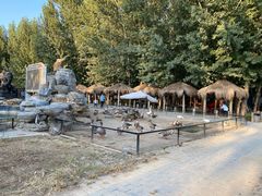 -爪吧宠物乐园·宠物泳池(温榆河示范区店)