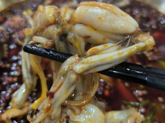 -烧哥美蛙肥肠鱼火锅·十五年社区店