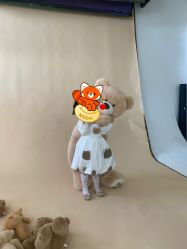 -憨大叔儿童摄影 80店连锁(柯桥店)