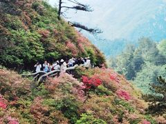 -木兰云雾山