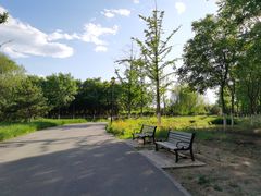 -永定河休闲森林公园