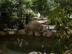 -三江森林温泉度假区