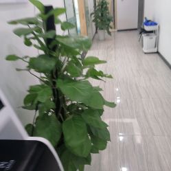 -悟空祛痘·亚健康皮肤管理中心