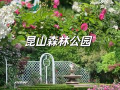 -昆山城市生态森林公园