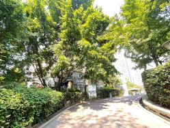 点击看大图 -金芙美月子中心(财富别墅店)
