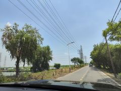 -崖口红树林海鲜餐厅