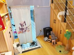 -Meowの猫咖(万家丽店)