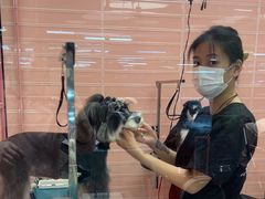 -FAELING PETS美天灵宠物(合生汇店)