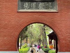 -洛阳市隋唐城遗址植物园