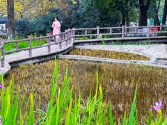 -成都市活水公园