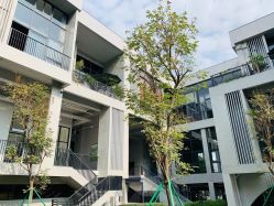 -KISS U 国际美学