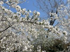 -艾山风景名胜区