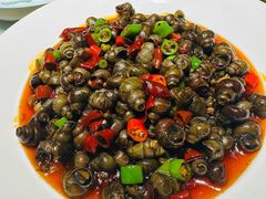 炒螺丝-西兰轩清真菜馆(北顺城街店)