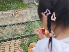 -深圳野生动物园