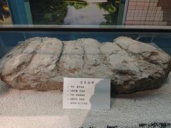 -大同煤炭博物馆