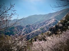 -北京鹫峰国家森林公园