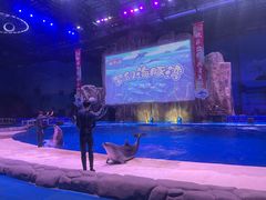 -华夏文旅西安度假区