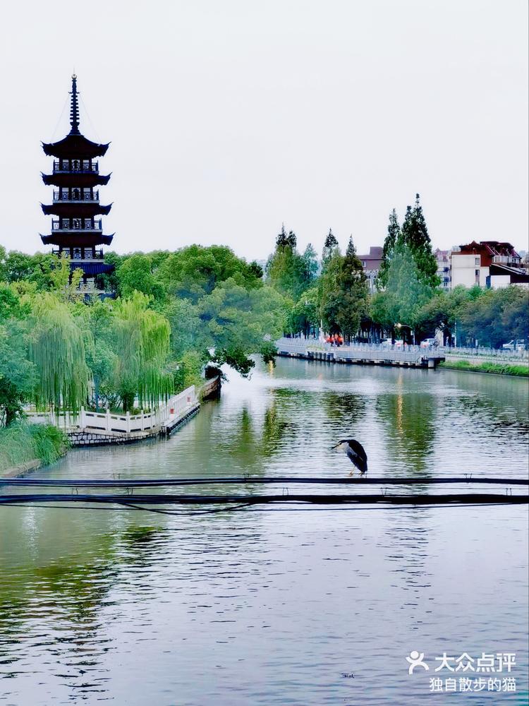 不出上海玩转古典青浦青溪园