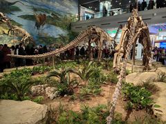 -自贡恐龙博物馆