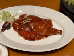 -广州富力君悦大酒店空中花园