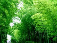 -大来渔村(市桥店)