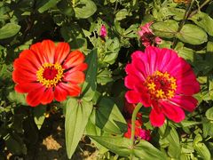 -艾溪湖湿地公园