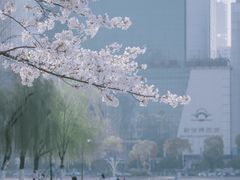 -西北湖绿化广场