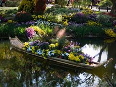 -上海共青森林公园