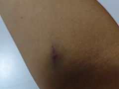 -瑞慈体检上海松江机构