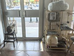 -青春加萌照相馆