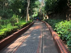 -铁路文化公园