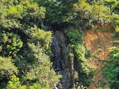 -水濂山森林公园