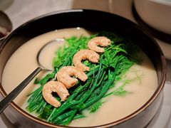 龙须菜-海味观(老西门店)