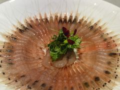 -花锦堂·隐庐
