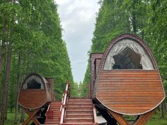 -黄海国家森林公园